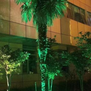 Светильник фасадный СЕРИИ TREE направленного света 12Вт 220V — Монохром UNI HAUSS