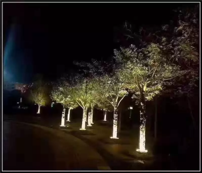 Светильник фасадный СЕРИИ TREE направленного света 27Вт 24V - RGB упр-е DMX512 UNI HAUSS — изображение 11
